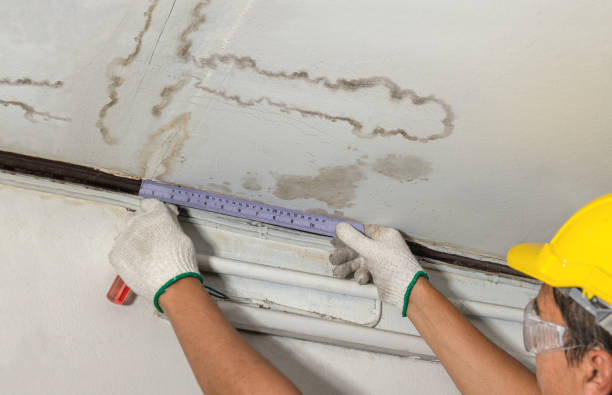 Reliable Mold Remediation contractor in Armour, SD by Water Damage Irwin